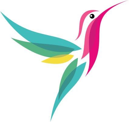 hummingbird hummingbird