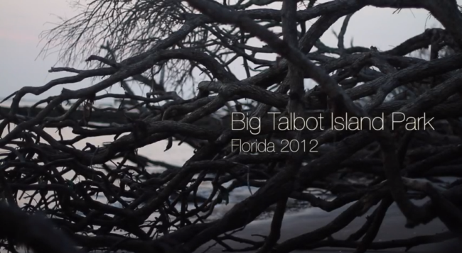 bigtalbotvideo bigtalbotvideo