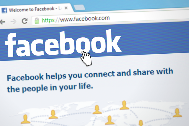 social network social network